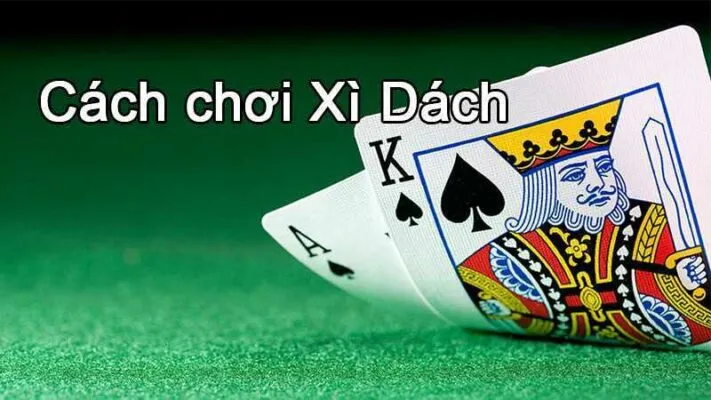 Giới thiệu về cách chơi xì dách Kubet